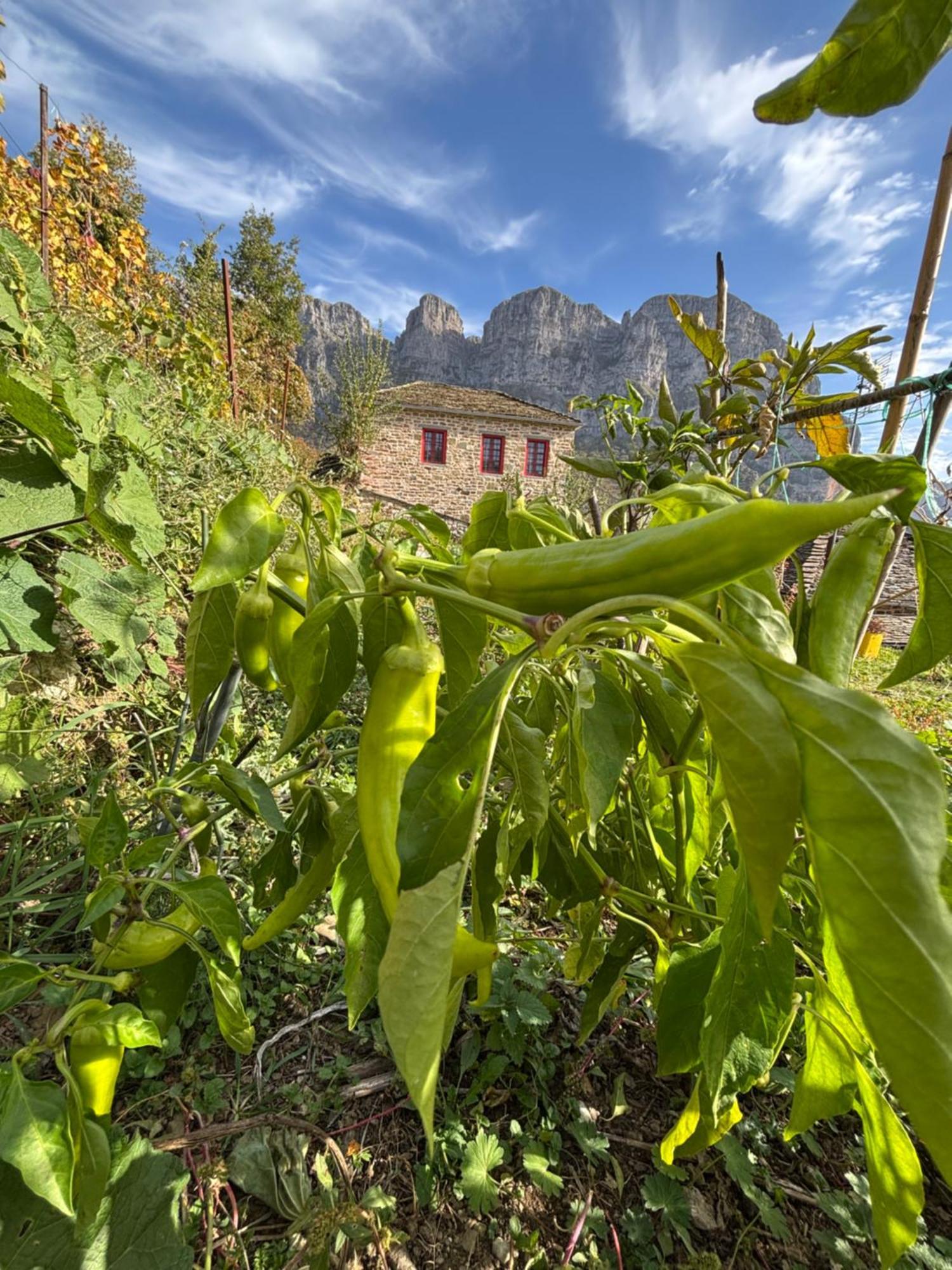 Morfeas Guesthouse Papigko Zewnętrze zdjęcie