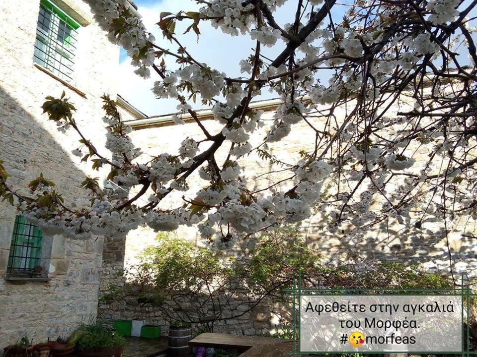 Morfeas Guesthouse Papigko Zewnętrze zdjęcie
