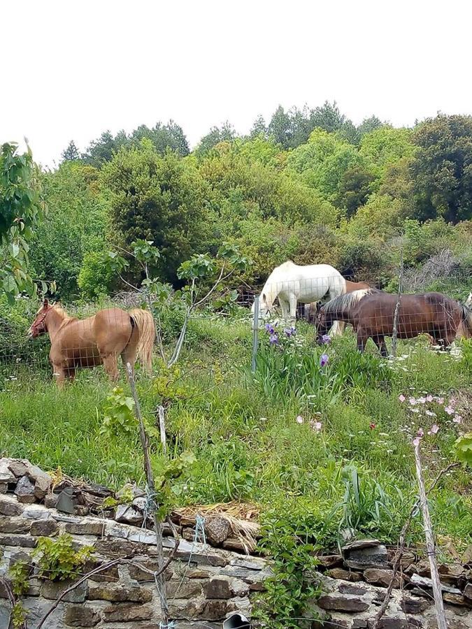 Morfeas Guesthouse Papigko Zewnętrze zdjęcie